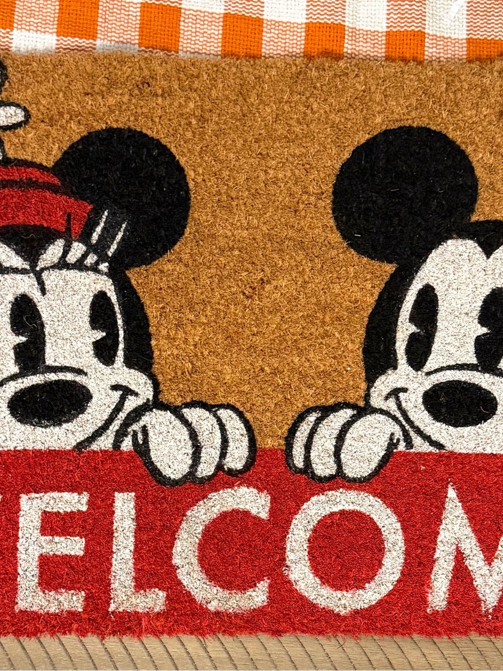 Disney Welcome Doormat